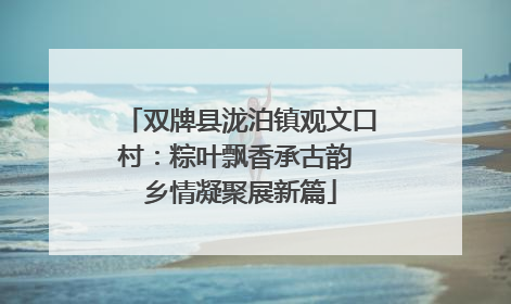 双牌县泷泊镇观文口村：粽叶飘香承古韵 乡情凝聚展新篇
