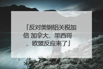 反对美钢铝关税加倍 加拿大、墨西哥、欧盟反应来了