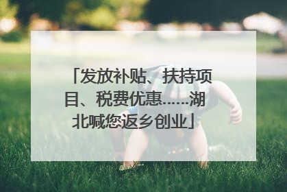 发放补贴、扶持项目、税费优惠……湖北喊您返乡创业