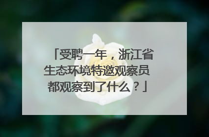 受聘一年，浙江省生态环境特邀观察员都观察到了什么？