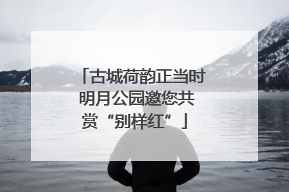 古城荷韵正当时 明月公园邀您共赏“别样红”