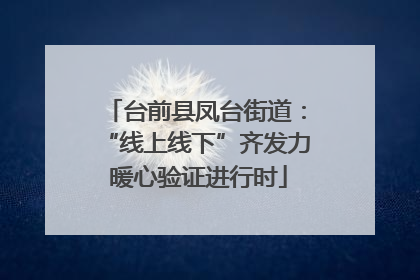 台前县凤台街道：“线上线下”齐发力 暖心验证进行时