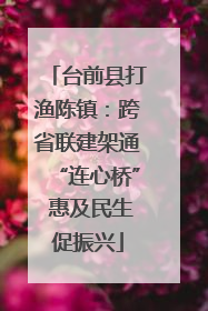 台前县打渔陈镇：跨省联建架通“连心桥” 惠及民生促振兴