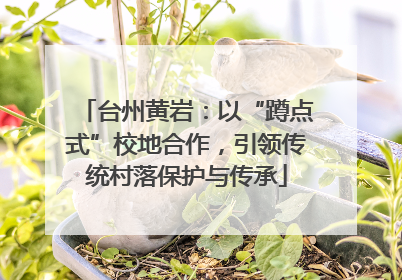台州黄岩：以“蹲点式”校地合作，引领传统村落保护与传承