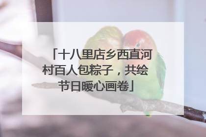 十八里店乡西直河村百人包粽子，共绘节日暖心画卷