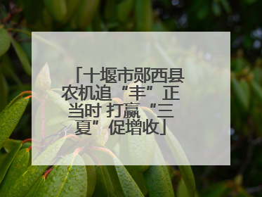 十堰市郧西县农机追“丰”正当时 打赢“三夏”促增收