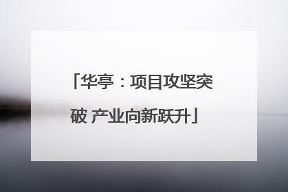 华亭：项目攻坚突破 产业向新跃升