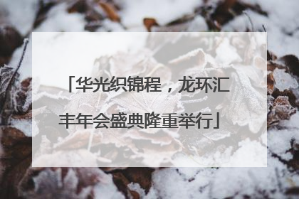 华光织锦程，龙环汇丰年会盛典隆重举行