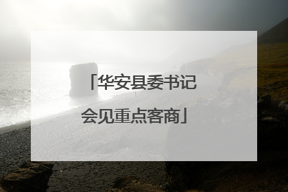 华安县委书记会见重点客商