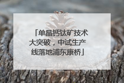 单晶钙钛矿技术大突破，中试生产线落地浦东康桥