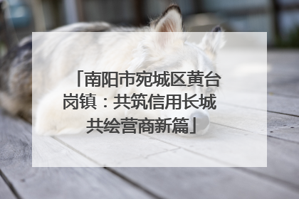 南阳市宛城区黄台岗镇：共筑信用长城 共绘营商新篇