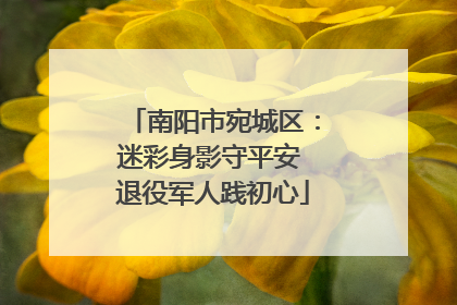 南阳市宛城区：迷彩身影守平安 退役军人践初心