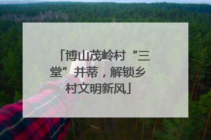 博山茂岭村“三堂”并蒂，解锁乡村文明新风
