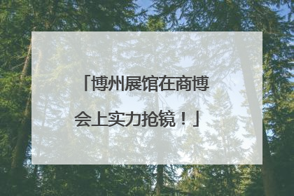 博州展馆在商博会上实力抢镜！