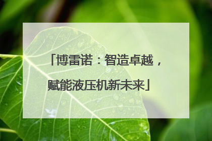 博雷诺：智造卓越，赋能液压机新未来
