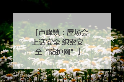 卢峰镇：屋场会上话安全 织密安全“防护网”