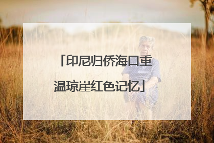 印尼归侨海口重温琼崖红色记忆