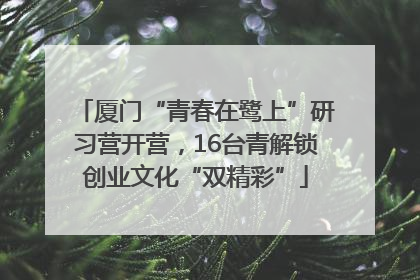 厦门“青春在鹭上”研习营开营，16台青解锁创业文化“双精彩”