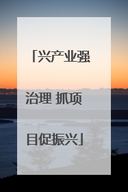 兴产业强治理 抓项目促振兴