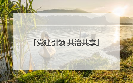 党建引领 共治共享