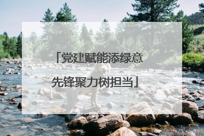党建赋能添绿意 先锋聚力树担当