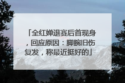 全红婵退赛后首现身，回应原因：脚腕旧伤复发，称最近挺好的