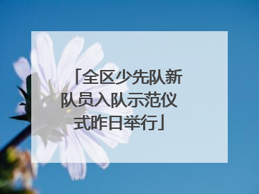 全区少先队新队员入队示范仪式昨日举行