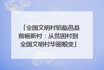 全国文明村镇临邑县前杨新村：从贫困村到全国文明村华丽蜕变