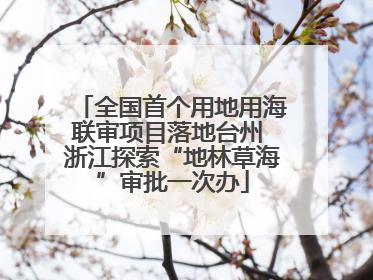 全国首个用地用海联审项目落地台州 浙江探索“地林草海”审批一次办
