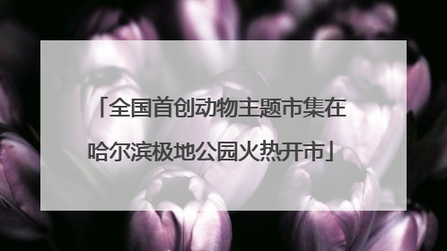 全国首创动物主题市集在哈尔滨极地公园火热开市