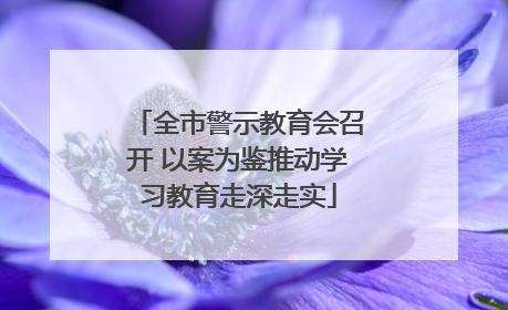 全市警示教育会召开 以案为鉴推动学习教育走深走实