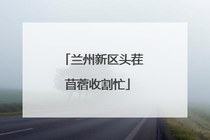 兰州新区头茬苜蓿收割忙
