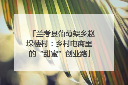兰考县葡萄架乡赵垛楼村：乡村电商里的“甜蜜”创业路