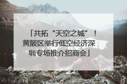 共拓“天空之城”！黄陂区举行低空经济深圳专场推介招商会