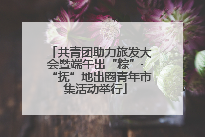 共青团助力旅发大会暨端午出“粽”·“抚”地出圈青年市集活动举行