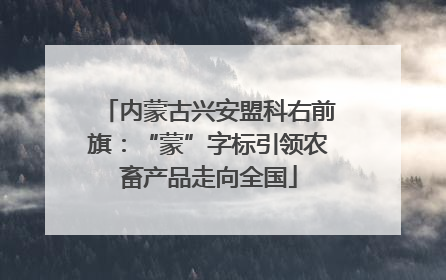 内蒙古兴安盟科右前旗：“蒙”字标引领农畜产品走向全国