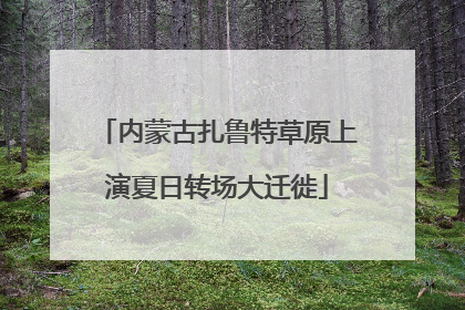 内蒙古扎鲁特草原上演夏日转场大迁徙