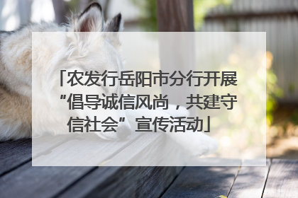 农发行岳阳市分行开展“倡导诚信风尚，共建守信社会”宣传活动