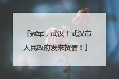 冠军，武汉！武汉市人民政府发来贺信！