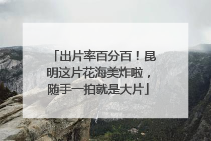 出片率百分百！昆明这片花海美炸啦，随手一拍就是大片