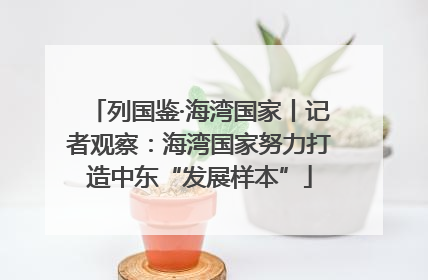 列国鉴·海湾国家丨记者观察：海湾国家努力打造中东“发展样本”
