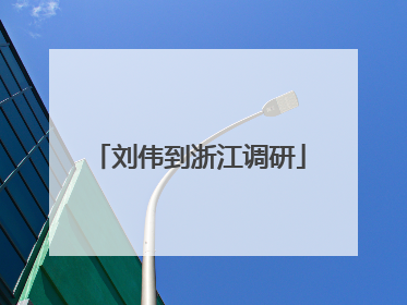 刘伟到浙江调研