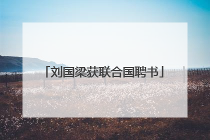 刘国梁获联合国聘书
