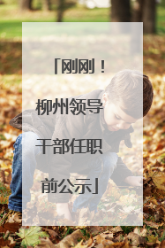 刚刚！柳州领导干部任职前公示