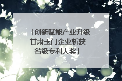 创新赋能产业升级 甘肃玉门企业斩获省级专利大奖