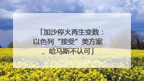 加沙停火再生变数：以色列“接受”美方案、哈马斯不认可