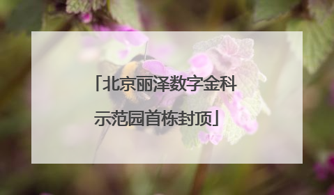 北京丽泽数字金科示范园首栋封顶