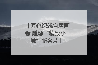 匠心织就宜居画卷 雕琢“精致小城”新名片