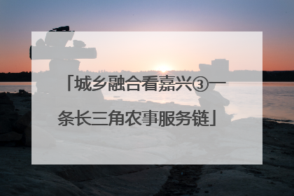 城乡融合看嘉兴③一条长三角农事服务链