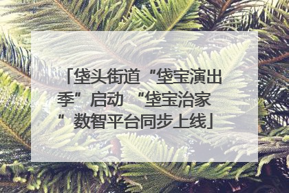 垡头街道“垡宝演出季”启动 “垡宝治家”数智平台同步上线